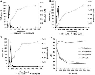 Tetrathionate and Elemental Sulfur Shape the Isotope Composition of Sulfate in Acid Mine Drainage